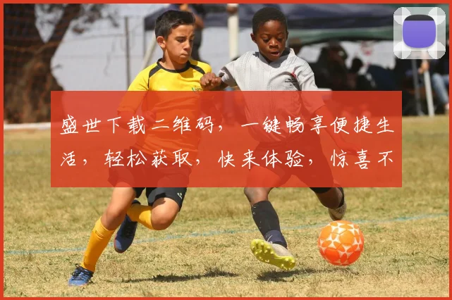 盛世下载二维码，一键畅享便捷生活，轻松获取，快来体验，惊喜不断，不容错过
