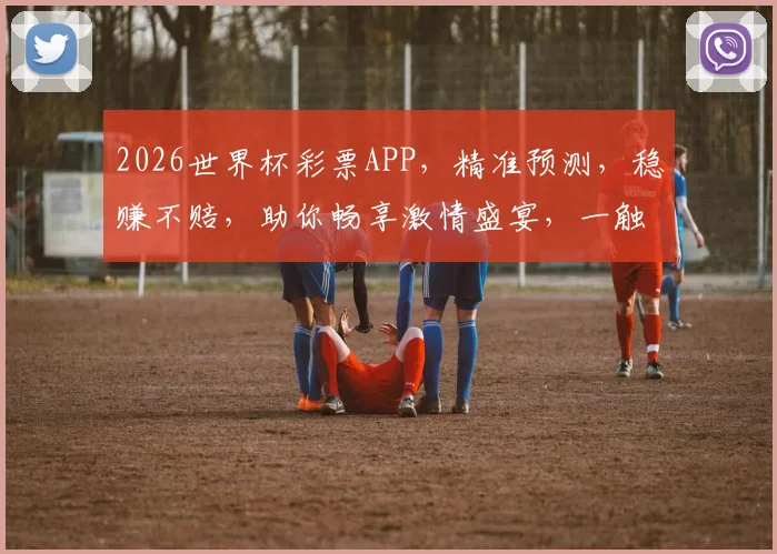 2026世界杯彩票APP，精准预测，稳赚不赔，助你畅享激情盛宴，一触即达