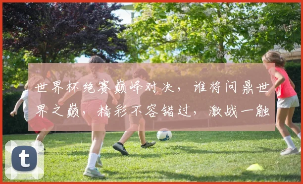 世界杯绝赛巅峰对决，谁将问鼎世界之巅，精彩不容错过，激战一触即发