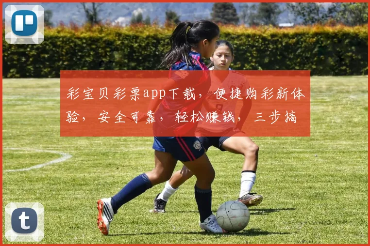 彩宝贝彩票app下载，便捷购彩新体验，安全可靠，轻松赚钱，三步搞定